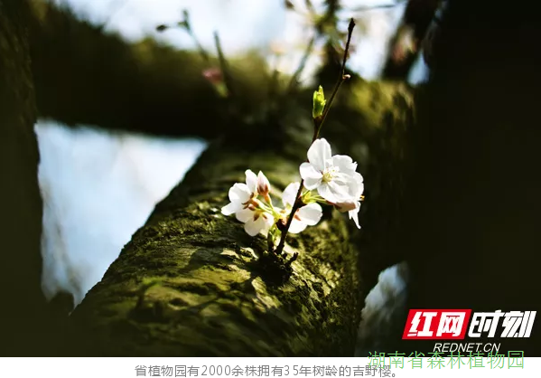 AG旗舰厅(中国游)官方网站