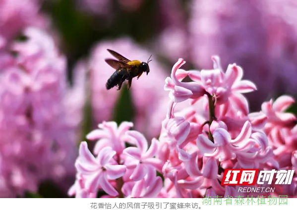 AG旗舰厅(中国游)官方网站