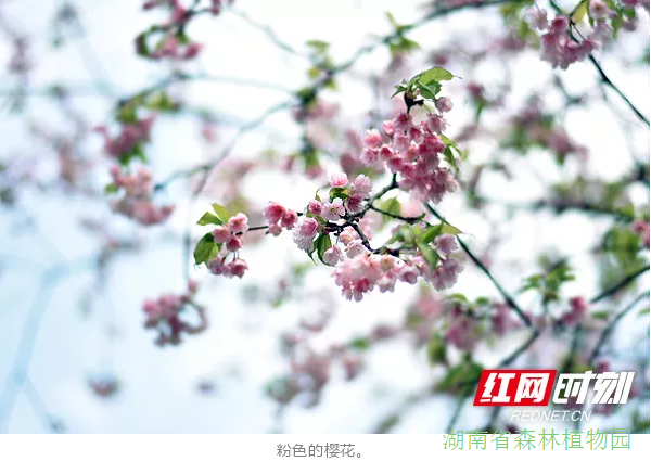 AG旗舰厅(中国游)官方网站