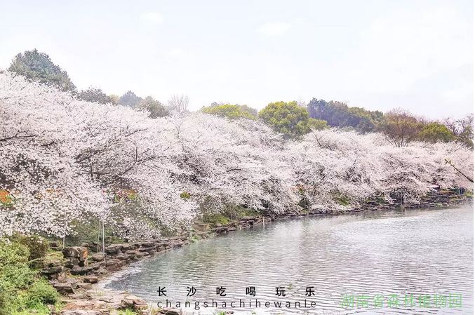 AG旗舰厅(中国游)官方网站