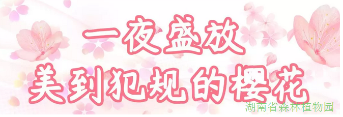 AG旗舰厅(中国游)官方网站