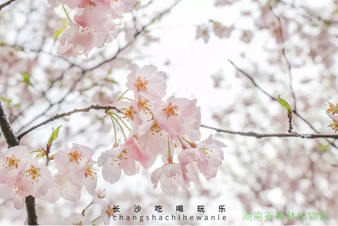 AG旗舰厅(中国游)官方网站