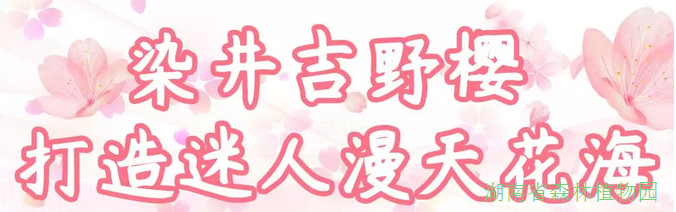AG旗舰厅(中国游)官方网站