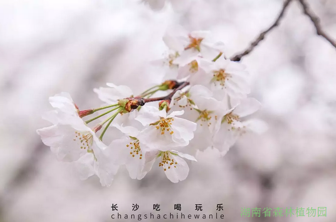 AG旗舰厅(中国游)官方网站