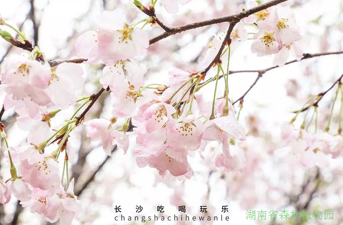 AG旗舰厅(中国游)官方网站