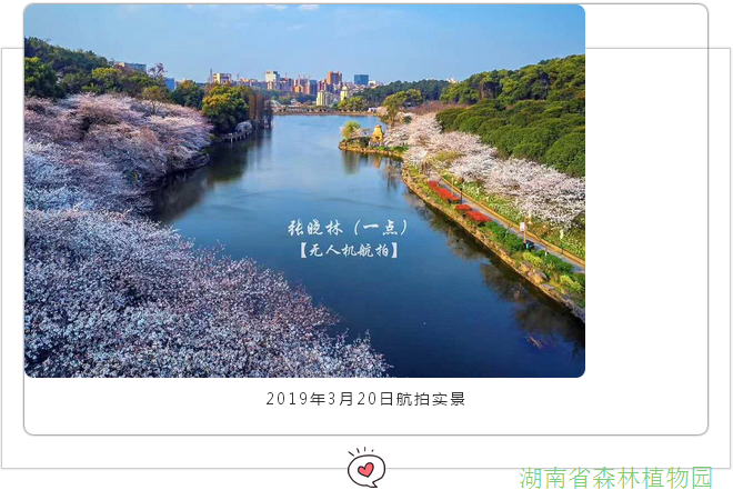 AG旗舰厅(中国游)官方网站