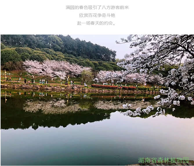 AG旗舰厅(中国游)官方网站