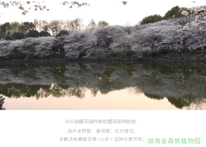 AG旗舰厅(中国游)官方网站