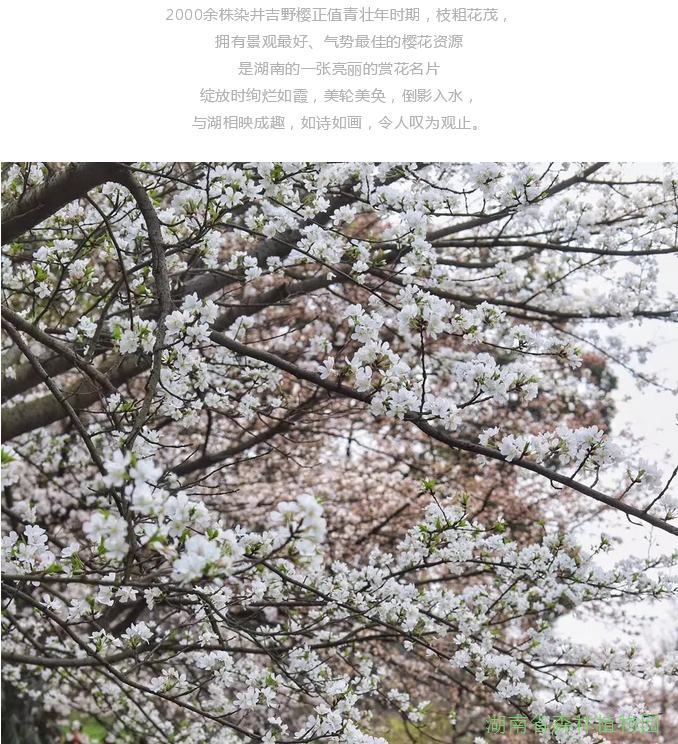AG旗舰厅(中国游)官方网站