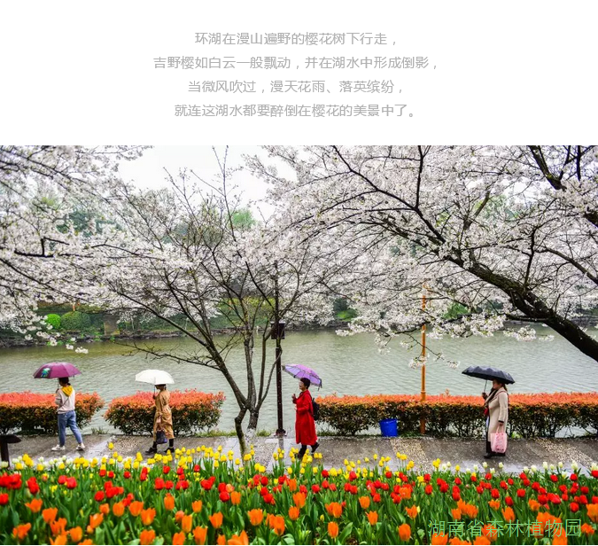 AG旗舰厅(中国游)官方网站