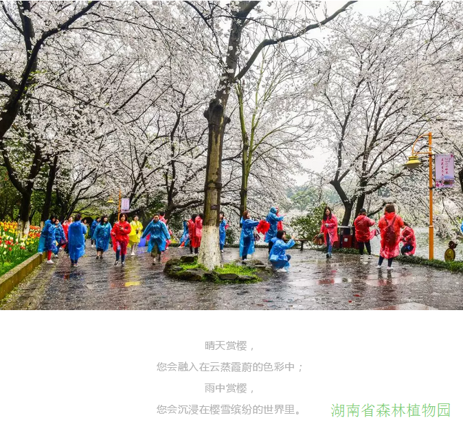 AG旗舰厅(中国游)官方网站