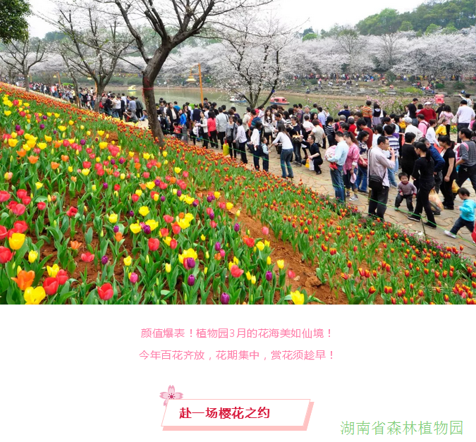 AG旗舰厅(中国游)官方网站