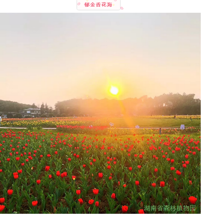 AG旗舰厅(中国游)官方网站