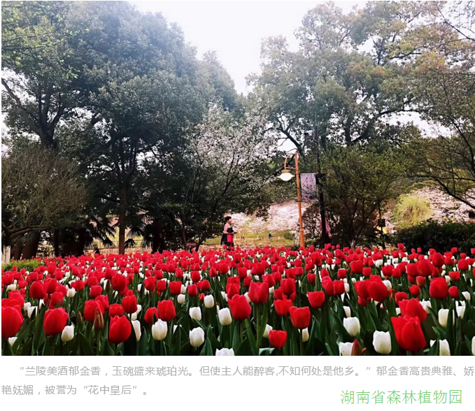 AG旗舰厅(中国游)官方网站