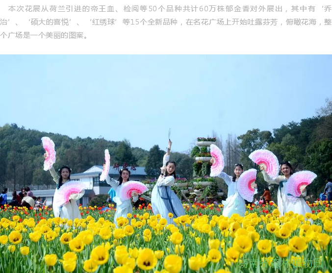 AG旗舰厅(中国游)官方网站