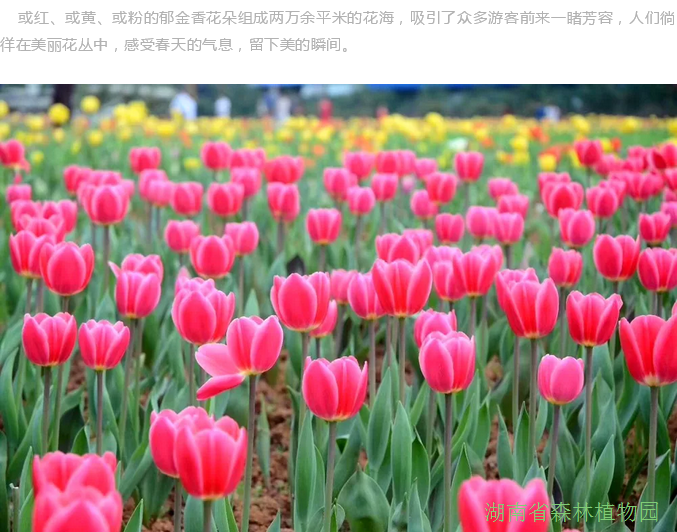 AG旗舰厅(中国游)官方网站