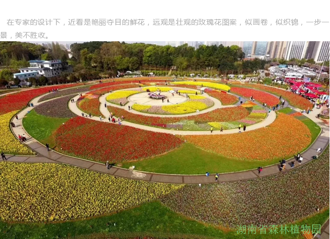 AG旗舰厅(中国游)官方网站