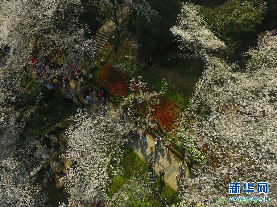 AG旗舰厅(中国游)官方网站
