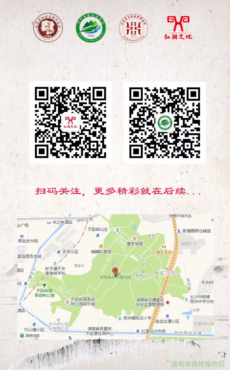 AG旗舰厅(中国游)官方网站
