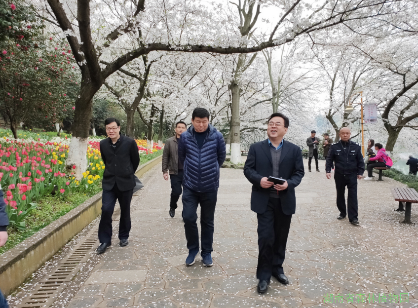 AG旗舰厅(中国游)官方网站