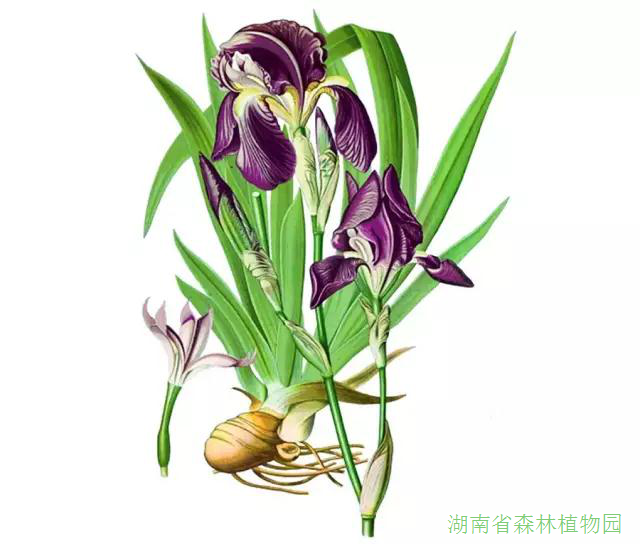 AG旗舰厅(中国游)官方网站