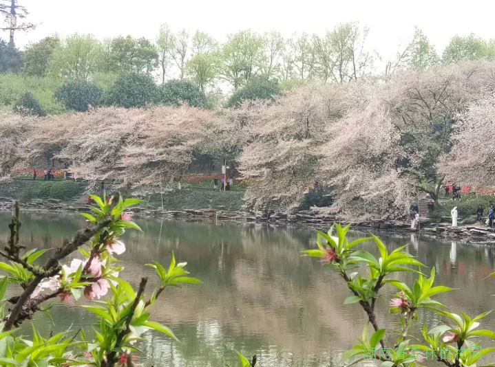 AG旗舰厅(中国游)官方网站