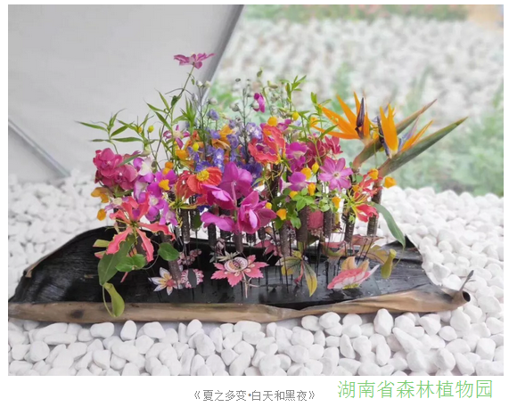 AG旗舰厅(中国游)官方网站