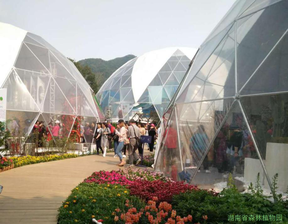 AG旗舰厅(中国游)官方网站