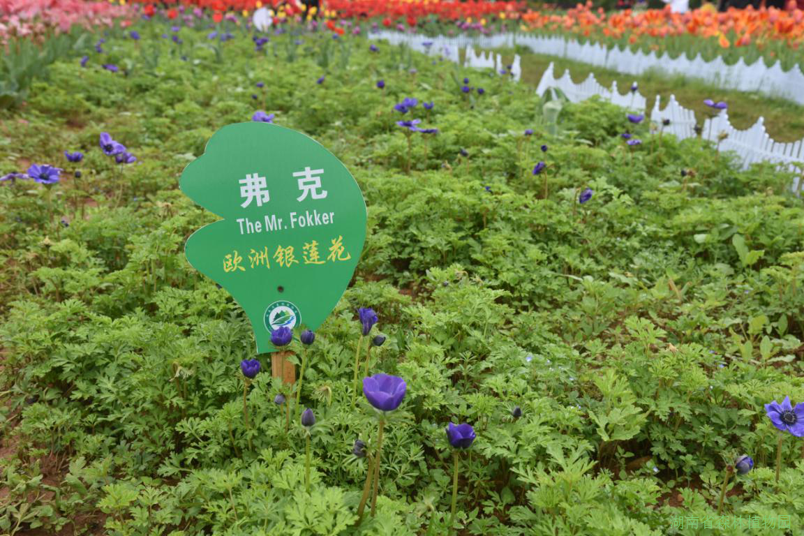 AG旗舰厅(中国游)官方网站