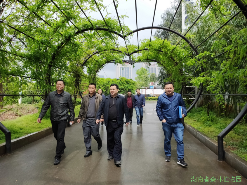 AG旗舰厅(中国游)官方网站