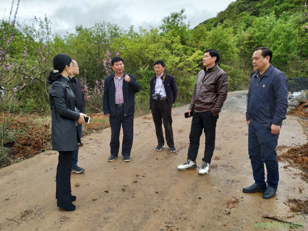 AG旗舰厅(中国游)官方网站