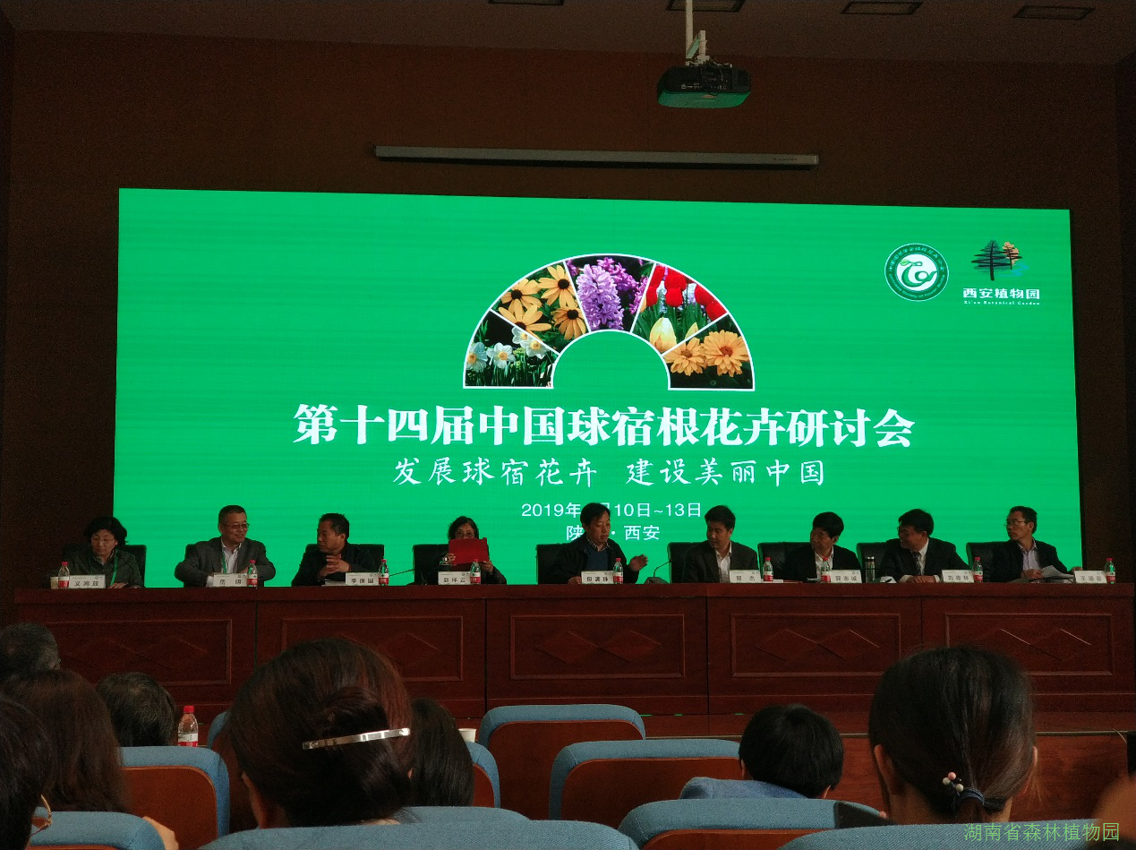 AG旗舰厅(中国游)官方网站