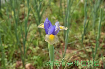 AG旗舰厅(中国游)官方网站