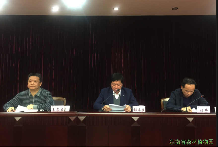 AG旗舰厅(中国游)官方网站