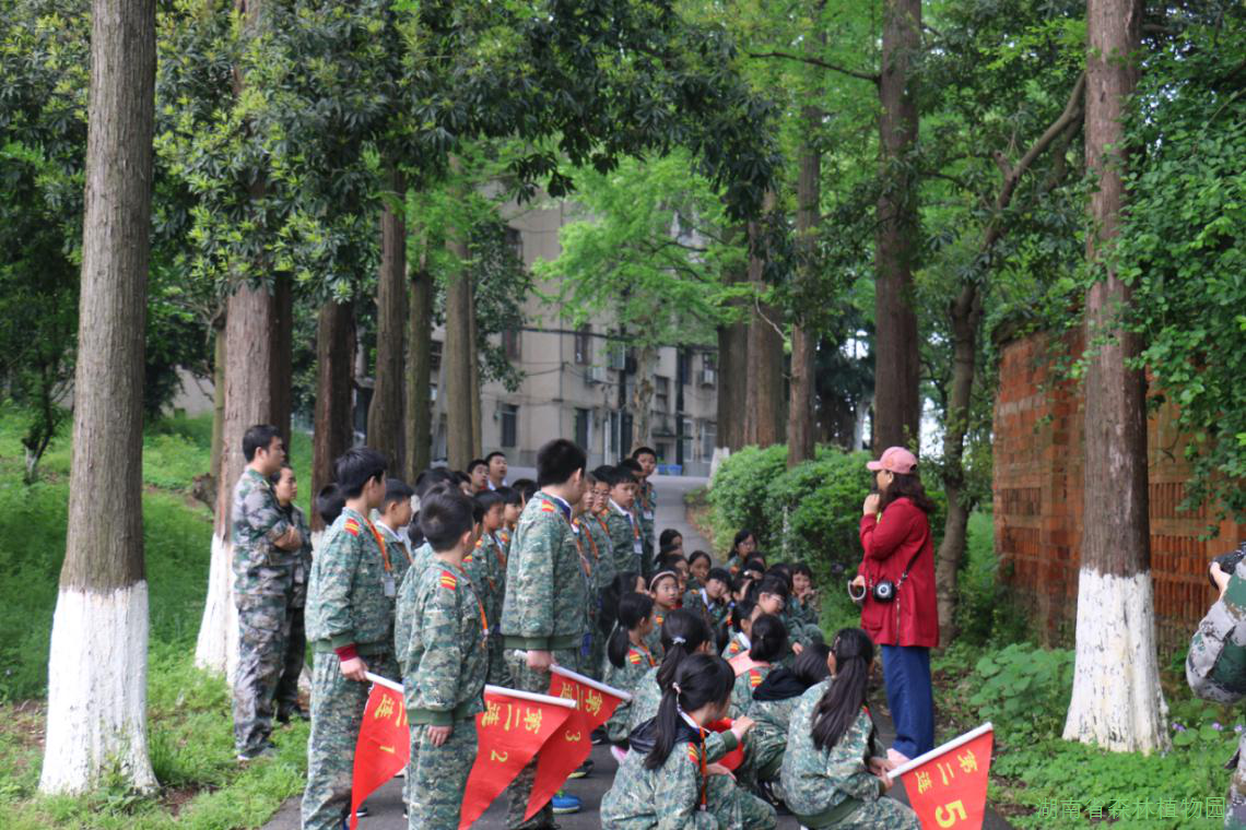 AG旗舰厅(中国游)官方网站