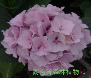 AG旗舰厅(中国游)官方网站