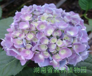 AG旗舰厅(中国游)官方网站