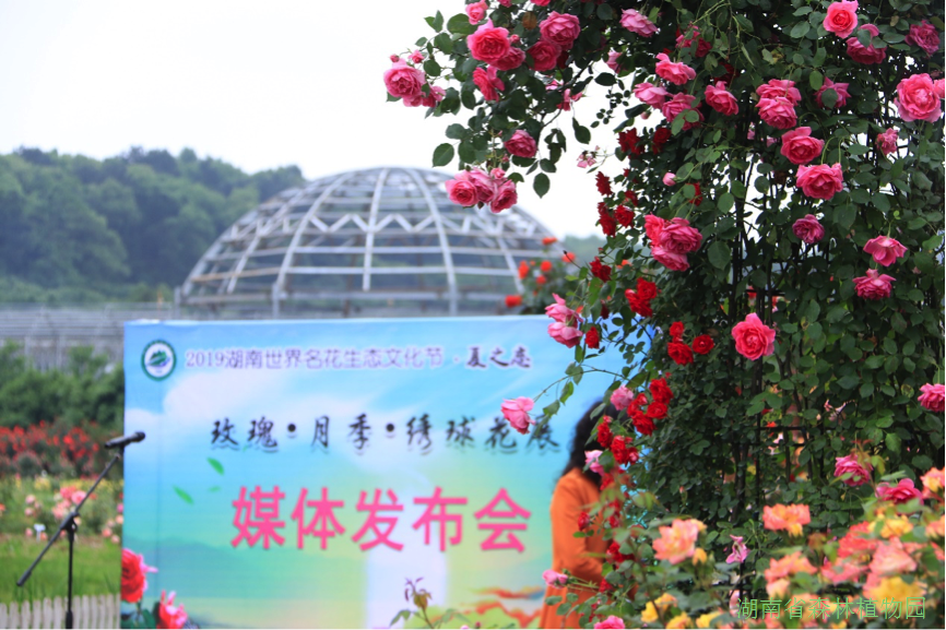 AG旗舰厅(中国游)官方网站