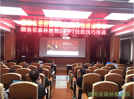 AG旗舰厅(中国游)官方网站