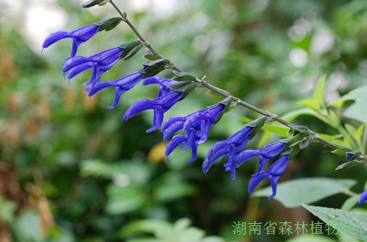 AG旗舰厅(中国游)官方网站