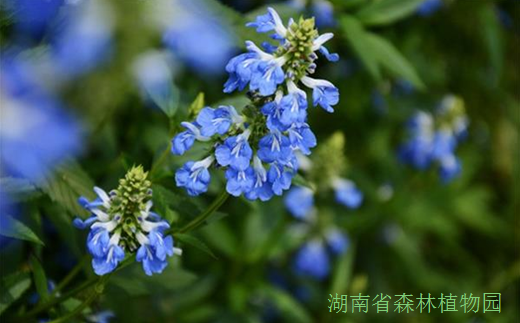 AG旗舰厅(中国游)官方网站