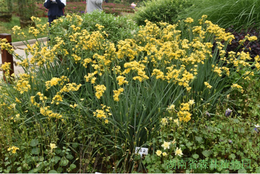 AG旗舰厅(中国游)官方网站