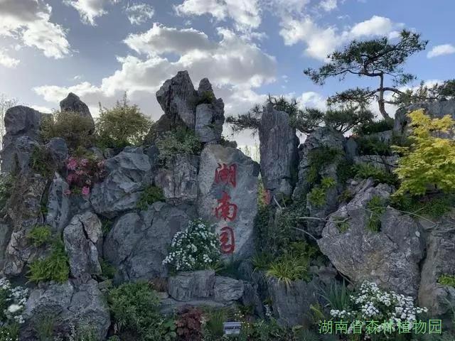 AG旗舰厅(中国游)官方网站