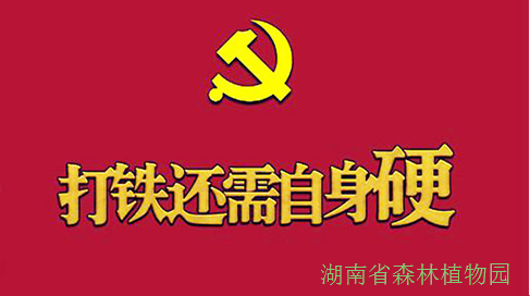 AG旗舰厅(中国游)官方网站