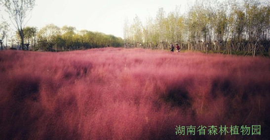 AG旗舰厅(中国游)官方网站