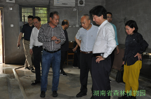 AG旗舰厅(中国游)官方网站