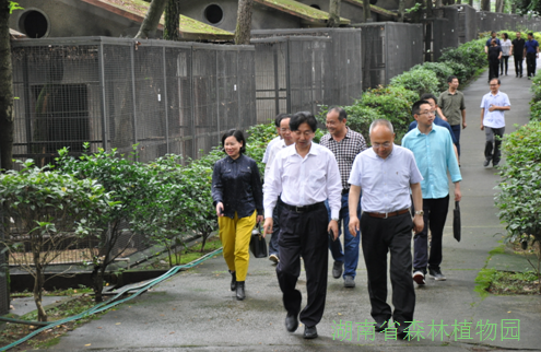 AG旗舰厅(中国游)官方网站