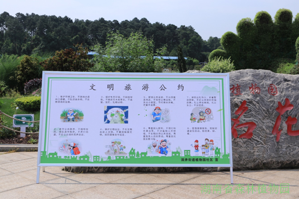 AG旗舰厅(中国游)官方网站