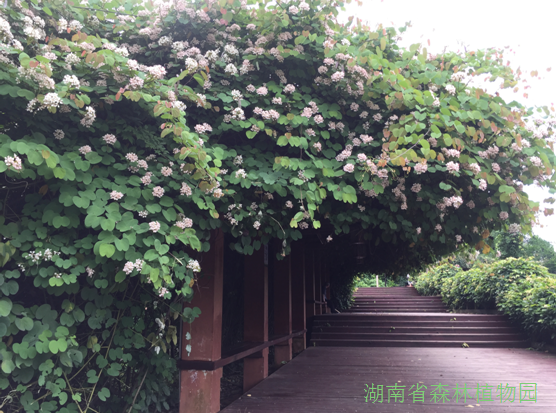 AG旗舰厅(中国游)官方网站