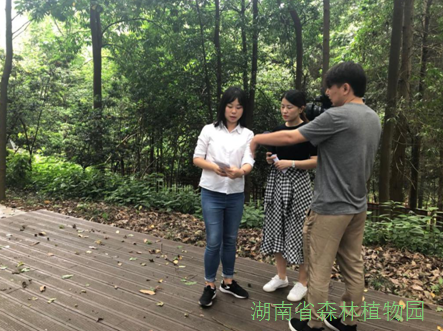 AG旗舰厅(中国游)官方网站
